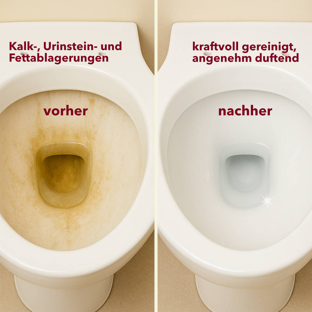 WC-Reiniger, dickflüssig, 12 x 750 ml Flasche, pH-Wert <2