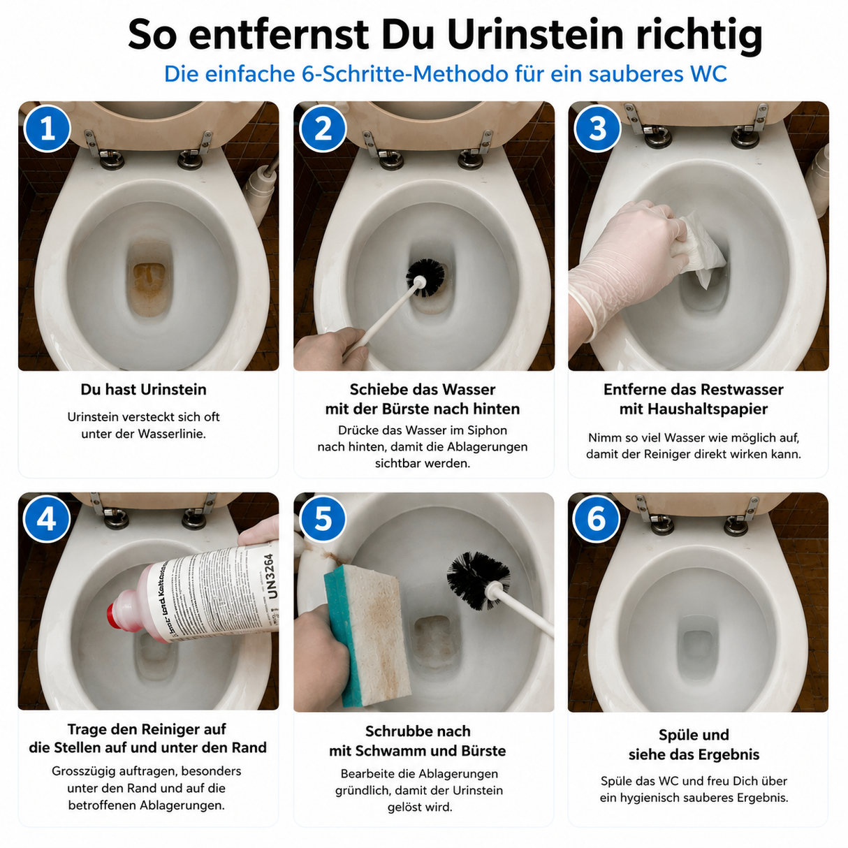 Urin- und Kalksteinentferner, rot, pH-Wert <2, 12 Flaschen x 1 Liter