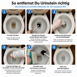 Urin- und Kalksteinentferner, rot, pH-Wert <2, 12 Flaschen x 1 Liter