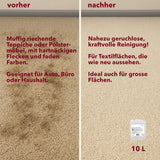 Teppich und Polsterreiniger, geruchsneutral, pH-Wert 10-11, 10 Liter